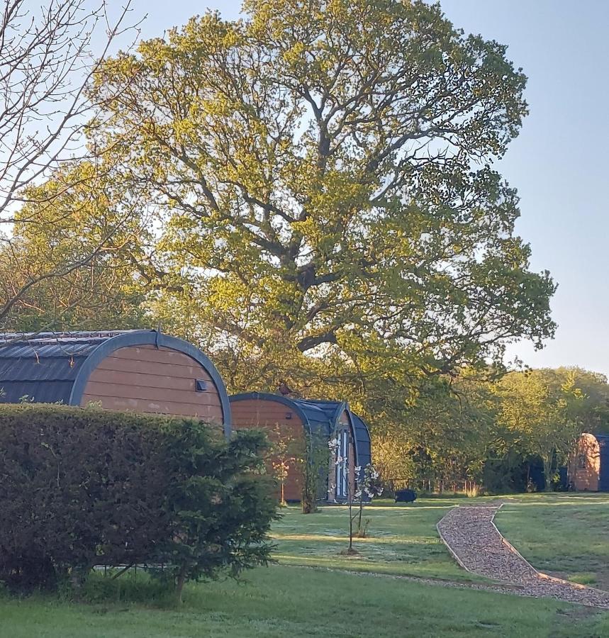 Oak Lodge Pods Lowestoft Εξωτερικό φωτογραφία