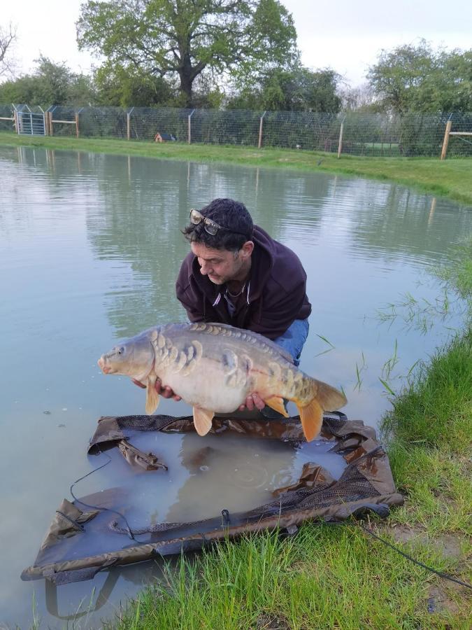 Oak Lodge Pods Lowestoft Εξωτερικό φωτογραφία